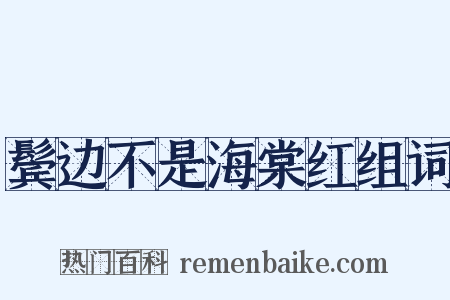 鬓边不是海棠红组词是什么意思的图片